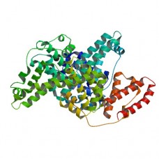 17-α-Hydoxy Progesterone Conjugate (BSA)