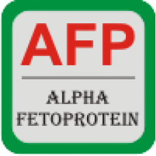 Alpha Fetoprotein Antibody (mAb) - Mouse