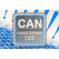 Cancer Antigen ELISA - CA 125