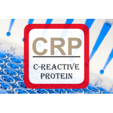C-Reactive Protein ELISA - High Sensitivity CRP