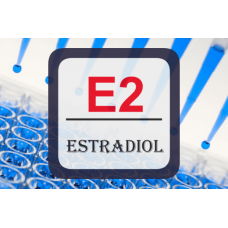 Estradiol ELISA