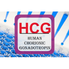 Human Chorionic Gonadotropin ELISA - Visual HCG pregnancy EIA