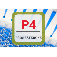 Progesterone ELISA