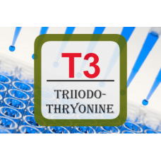 Thyroid Hormone ELISA - T3