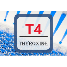 Thyroid Hormone ELISA - T4