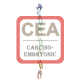 CEA Antibody (mAb) Conjugate (HRP)