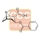 Benzoyl Ecgonine Antibody (mAb) - Mouse