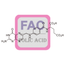 Folic Acid Antibody (pAb) - Rabbit