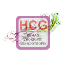 HCG Beta, Sheep ab-HRP