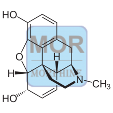 Morphine Conjugate (HRP)