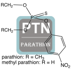 Parathion Antibody (pAb) - Rabbit