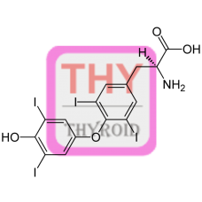 Thyroxine (T4) Conjugate (BGG)
