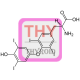Thyroxine (T4) Antibody (pAb) - Sheep